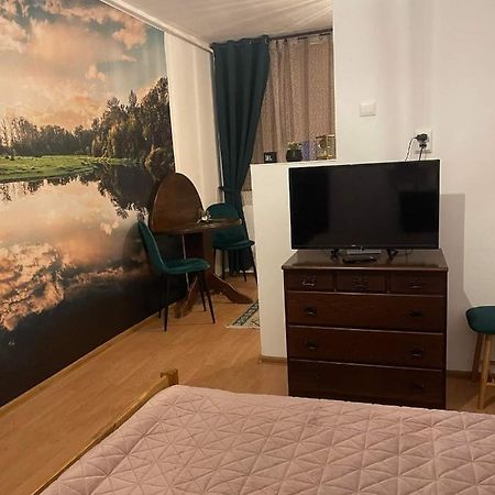 Апартаменти Cm Studio Сігішоара Екстер'єр фото